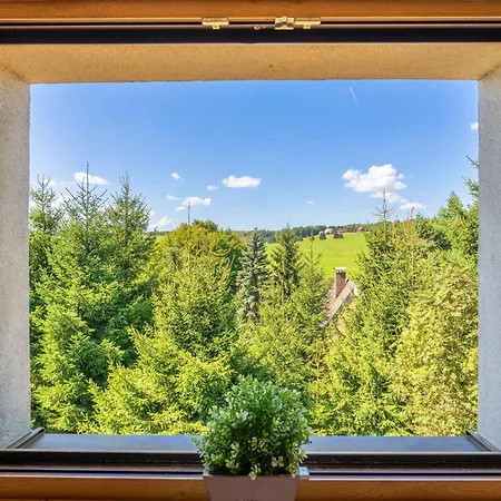 Zelenka V Krusnych Horach - Im Erzgebirge Nove Mesto