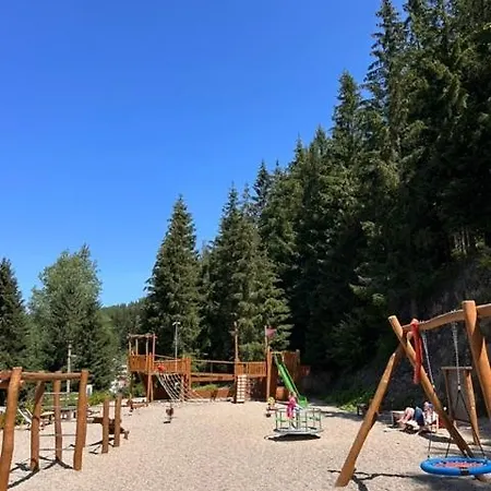 Zelenka V Krusnych Horach - Im Erzgebirge *
