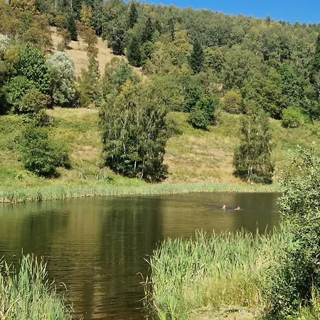 Zelenka V Krusnych Horach - Im Erzgebirge Dağ evi Nove Mesto