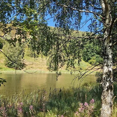 Zelenka V Krusnych Horach - Im Erzgebirge Σαλέ Nove Mesto