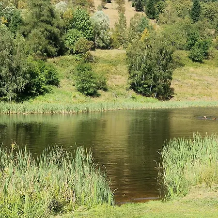 Dağ evi Zelenka V Krusnych Horach - Im Erzgebirge