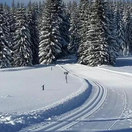 Dağ evi Zelenka V Krusnych Horach - Im Erzgebirge Nove Mesto