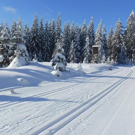 Zelenka V Krusnych Horach - Im Erzgebirge Nove Mesto